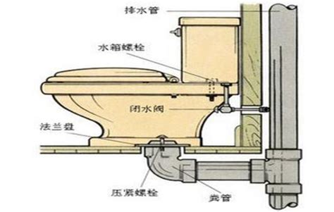 馬桶安裝